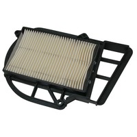 Meiwa Luftfilter (FüR: Malaguti Password 250 ZJM76 07-12 )