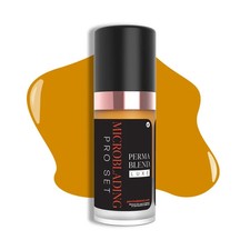 Perma Blend Luxe Makeup Eyebrow Lip Microblading Glow Up 10ml Pigment Ink