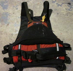 Lotus Pfd | eBay
