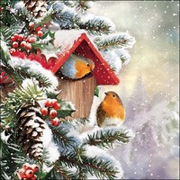 20 Servietten House With Robins Rotkehlchen Vogelhaus Beeren Winter 33X33Cm