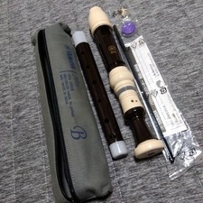 Yamaha YRA38BIII Recorder Case