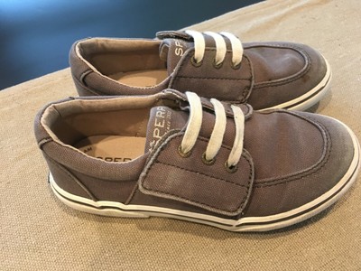 sperry ollie jr