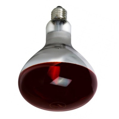 INFRAROTE WÄRMELAMPE RUBIN 250W Geflügel Küken Brut Lämmer Vieh