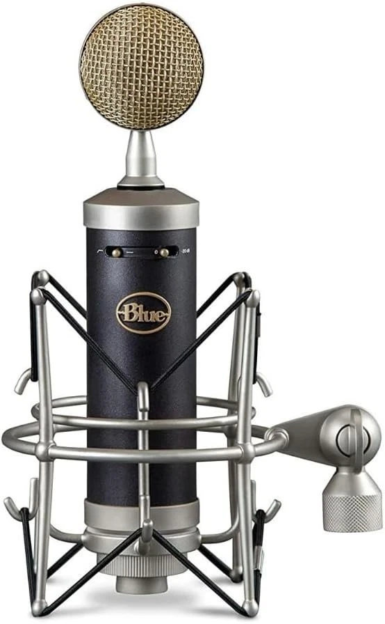 Blue Baby Bottle Microphone for sale - eBay