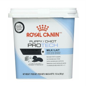 puppy protech royal canin