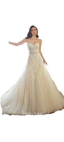 Alfred Angelo (2508) Wedding Dress: Size 12, Champagne And Ivory | eBay