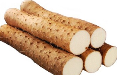 Fresh Diosloreae Chinese Yam ( 2 stalks pieces) 