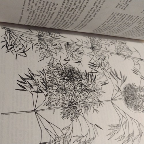 Royal Horticultural Society: Manual of Grasses by Mark Griffiths 1994 Hardcover - Picture 5 of 12