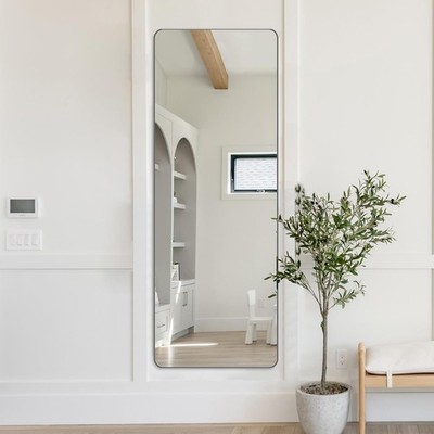 ANDY STAR 18'' x 48'' Full Length Wall Mirror, Large Brushed Nickel Mirror for