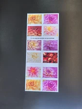 US Stamps 2025 Dahlias5 Sheets of 20 / A total of 100