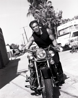 Arnold Schwarzenegger  actor, politician and former bodybuilder 8.5x11