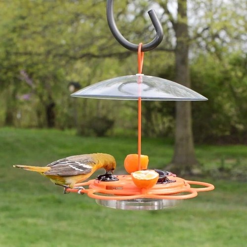 Nature's Way OFP1 All-in-One Oriole Buffet Bird Feeder, Orange - Picture 10 of 13