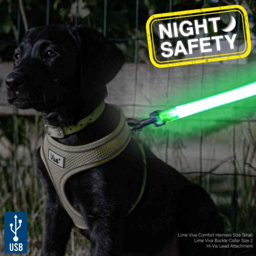 Luz de seguridad nocturna recargable Ancol USB de alta visibilidad para perro plomo/cuello accesorio - Imagen 1 de 4