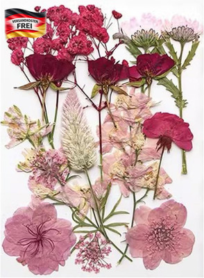 Getrocknete Blumen Bastelmaterial für Kunst & DIY - 16 Stück, lebendige Farben