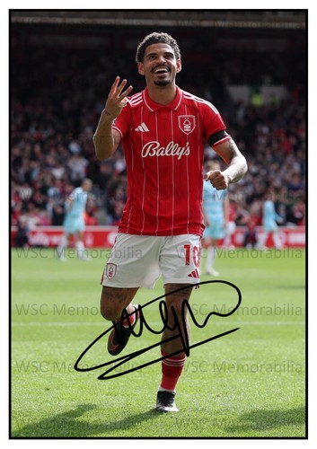 11269. Morgan Gibbs-White Signed Pictures (A4 Prints) Forest England Wolves etc