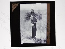 South Africa Native Worker Agriculture Newton & Co Magic Lantern Slide c1900s