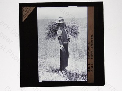 Südafrika Ureinwohner Arbeiter Landwirtschaft Newton & Co magische Laterne Dia um 1900