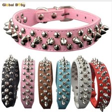 +   COLLARE BULLDOG BORCHIE STRASS CANE OSSO MIGLIOR AMICO GUINZAGLIO PUNK