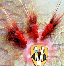 V Fly Ultimate Depth Charge Cone-Head Red Francis Salmon Tube Flies & Hooks