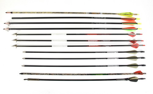 Lot of 12 Terminator, Bloodsport, Easton, Mossy Oak Arrows 27-31" w/ Points
