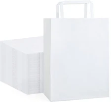 10 White Kraft Paper Gift Bags, Party Favor Bags with Flat Handles, 8x4.75x10.5