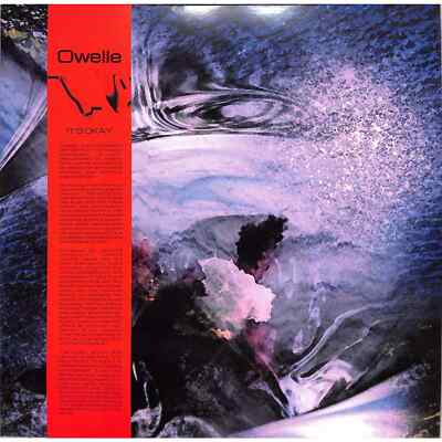 Owelle / ITS OKAY (LP) / Dee Dee s Picks / DDP009 / 12 Inch