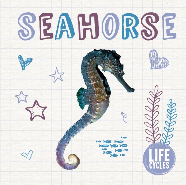 Seahorse by Madeline Tyler (Hardback Book)