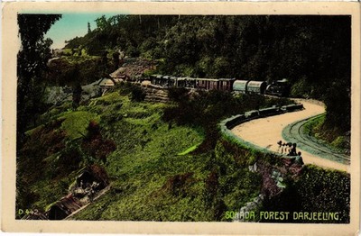 PC INDIA SOMADA FOREST DARJEELING (a84190)