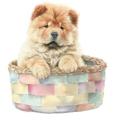 3 adesivi Chow Chow adesivi auto 9 x 9 cm cane cucciolo leone lingua blu moti...