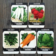 5 Original Card Seed Co 1920s VEGETABLE SEED PACK COLLECTION Radish Carrot LOT