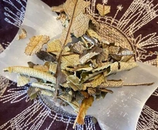 Yerba Santa Leaf, Glamour, Illusion, Beauty, All Natural