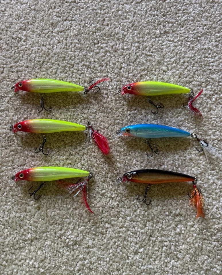 Rapala рукоятки приманки X-Rap XR08 лот из 12 различных цветов - Изображение 2 из 2