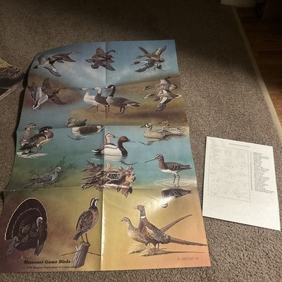Vintage 1982 Missouri Conservation Poster - Missouri Game Birds