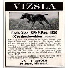 Vizsla Brok-Olca SPKP-Pos 1530 IS Osborn Le Sueur MN 1954 Magazine Ad SAH2-M5