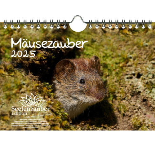 Mäusezauber DIN A5 Wandkalender für 2025 Mäuse - Seelenzauber - Afbeelding 1 van 1