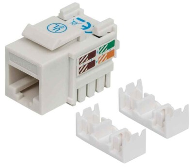 766623210591 Intellinet Cat6 Modularbuchse, UTP, Keystone Jack, weiß, benötigt L