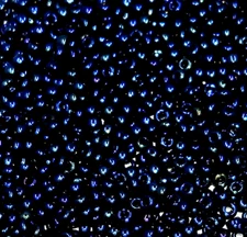Vintage Metallic Dark Blue Iris AB Rainbow TOHO Glass Seed Beads 11/0 Japan P1-3