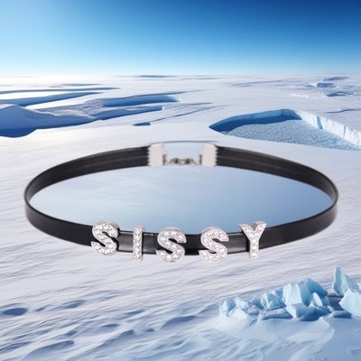 Veganer PU Leder Goth Kragen Choker Verstellbare DIY Buchstaben Geschenk KING