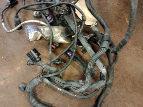 AUDI TT 1.8T BAM Engine Management Wiring Loom +LAMBDA APX? GOLF CONVERSION - Picture 8 of 24