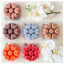 PARTYLITE Scent Plus® Melts Duftwachs melt diverse Düfte auch Raritäten