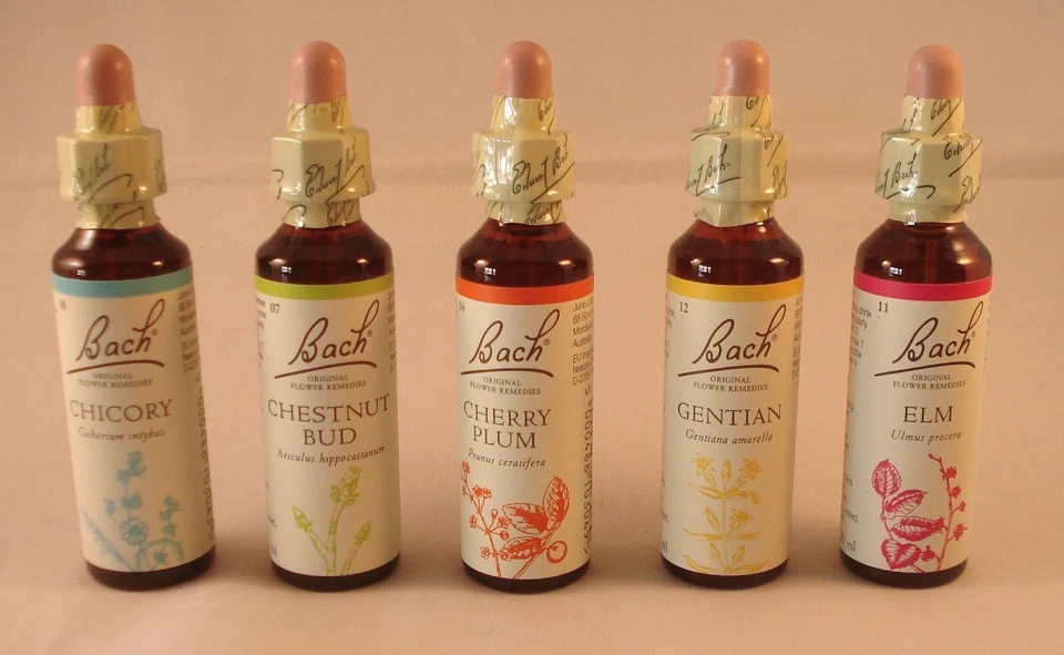 Nelson Bach complete Set 20ml Original Flower Remedies BEST BEFORE 12/2026 - Image 3 of 4