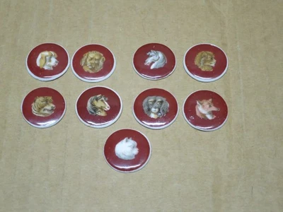 Bel ensemble de 9 boutons en porcelaine non monté tetes d'animaux XIXème siècle - Photo 1/4
