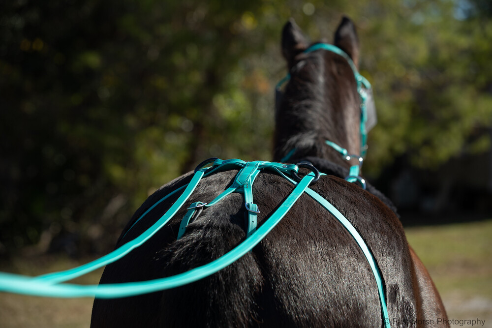 Small Tack Small Pony Tack