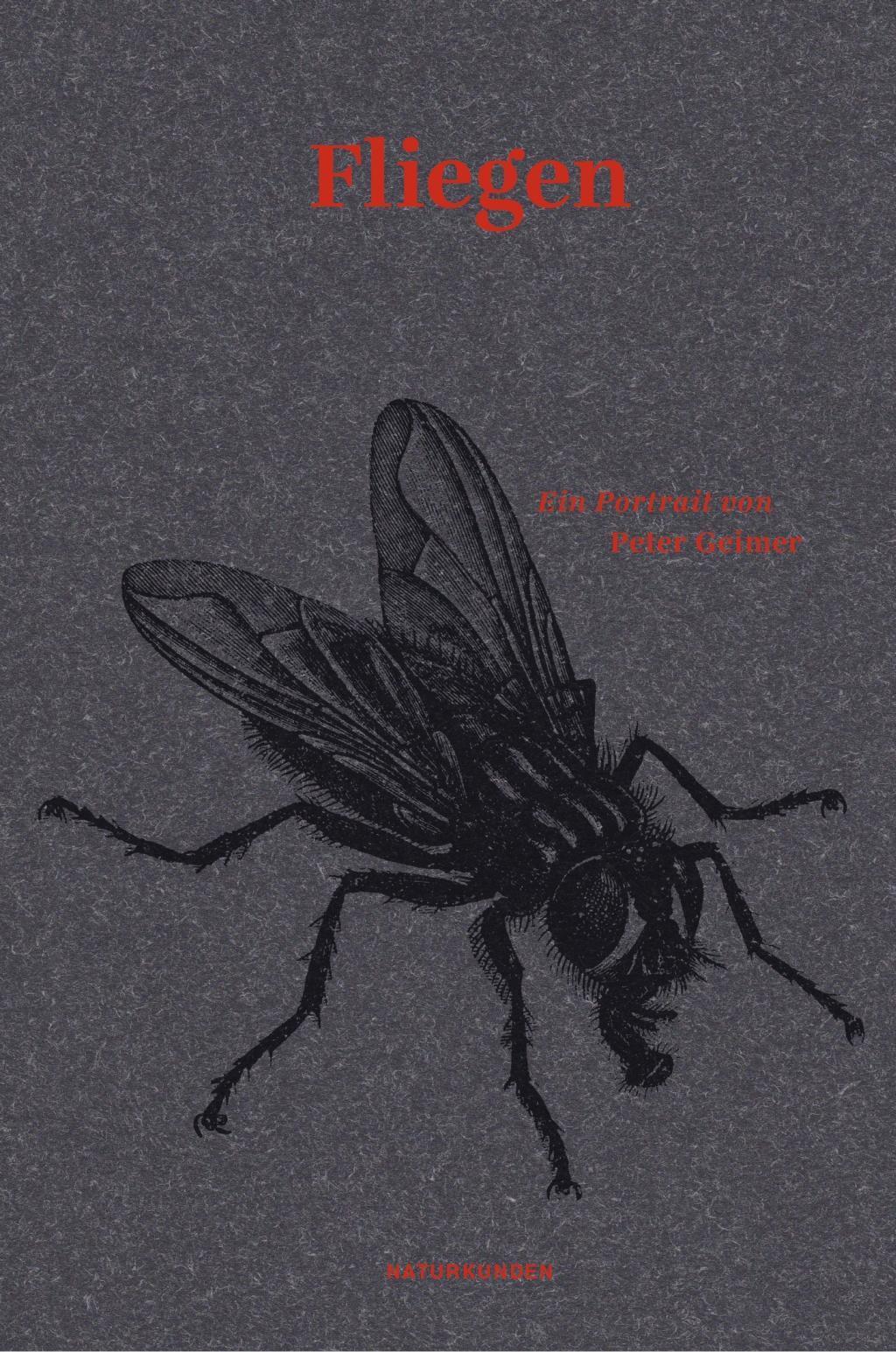 Thumbnail - Fliegen | Buch | 9783957576170