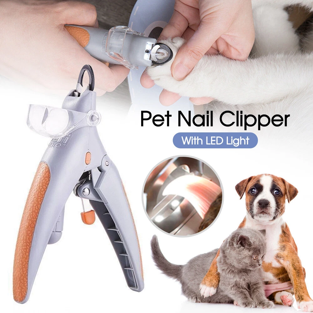 Pet Nail Cutter with Led light , Shape Balde Grooming tool for dog cat  Rabit small Animals at Rs 290/piece | Nail Clipper For Dogs in Chennai |  ID: 2849516588573