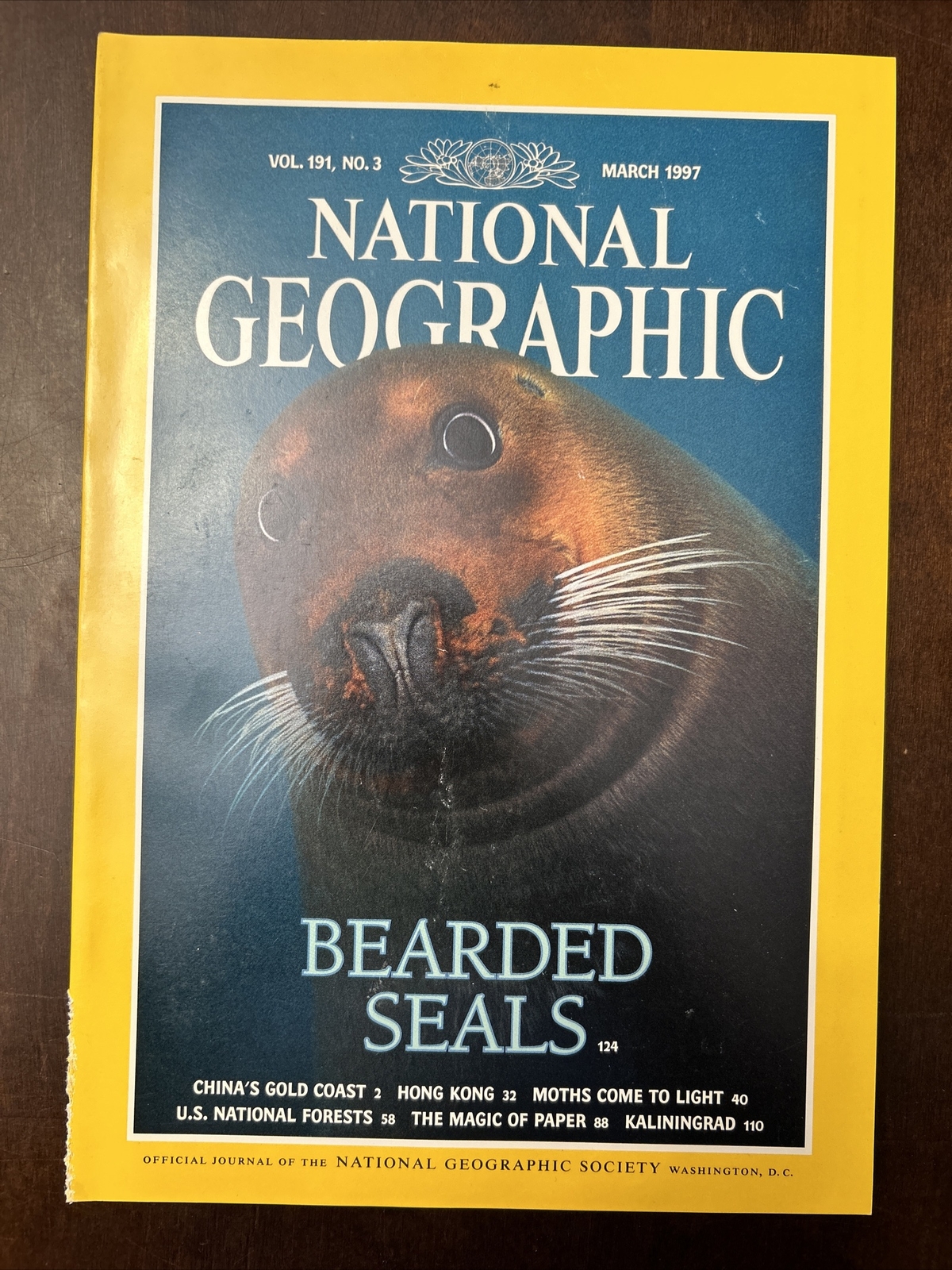 National Geographic March 1997 Bearded Seals