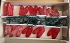 Wizard of Oz Ruby Slippers Shoes Kurt Adler 10 Light Set Indoor Outdoor — photo 2