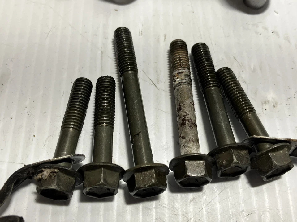 Suzuki Boulevard Vl 1500 (C90) 2005 cubierta de transmisión secundaria (OEM) Foto 3 de 4