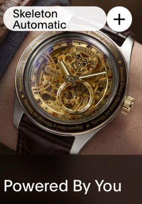 Harry Potter X Timex Waterbury Skeleton Automatic 39mm