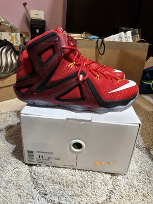 Size 11 - Nike LeBron 12 Elite Team ICY Soles